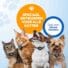 Kattenhalsband airtag 4