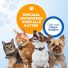Kattenhalsband airtag pootjes 4