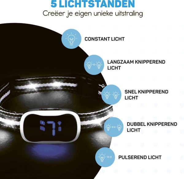 LED8