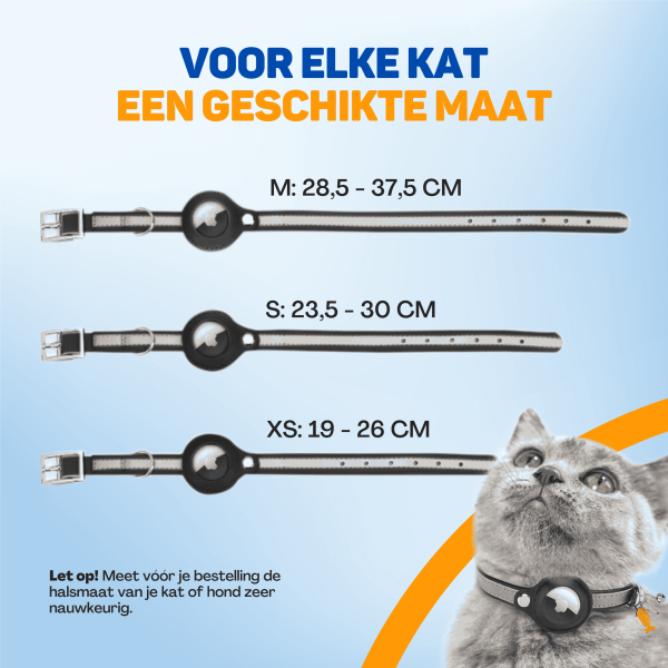 katten airtag (1)