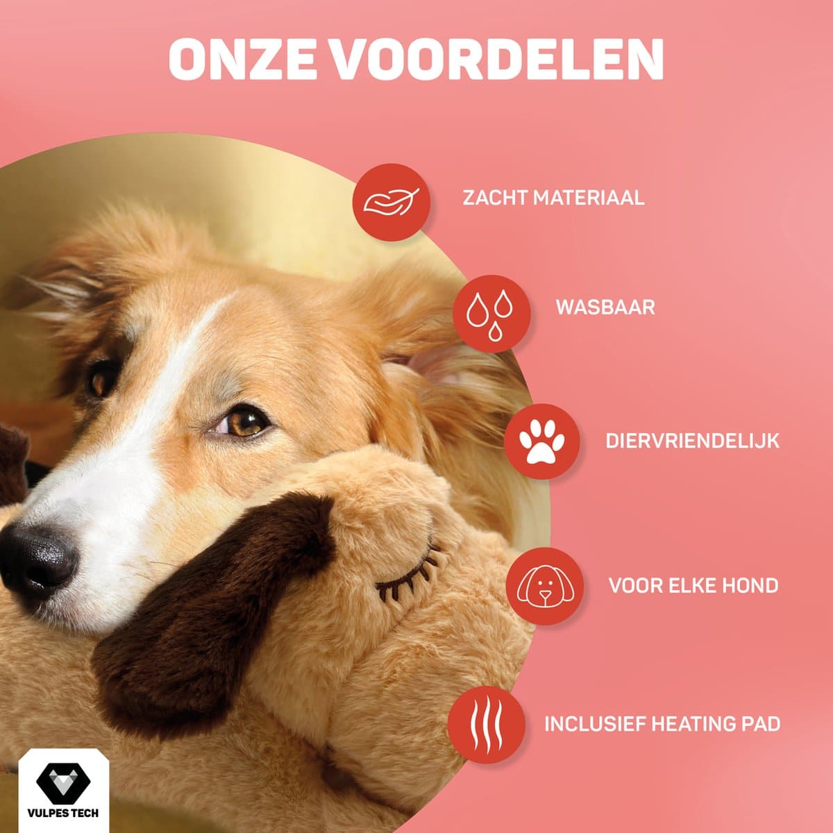Cozy Dog Bunny | Hond | Bestel