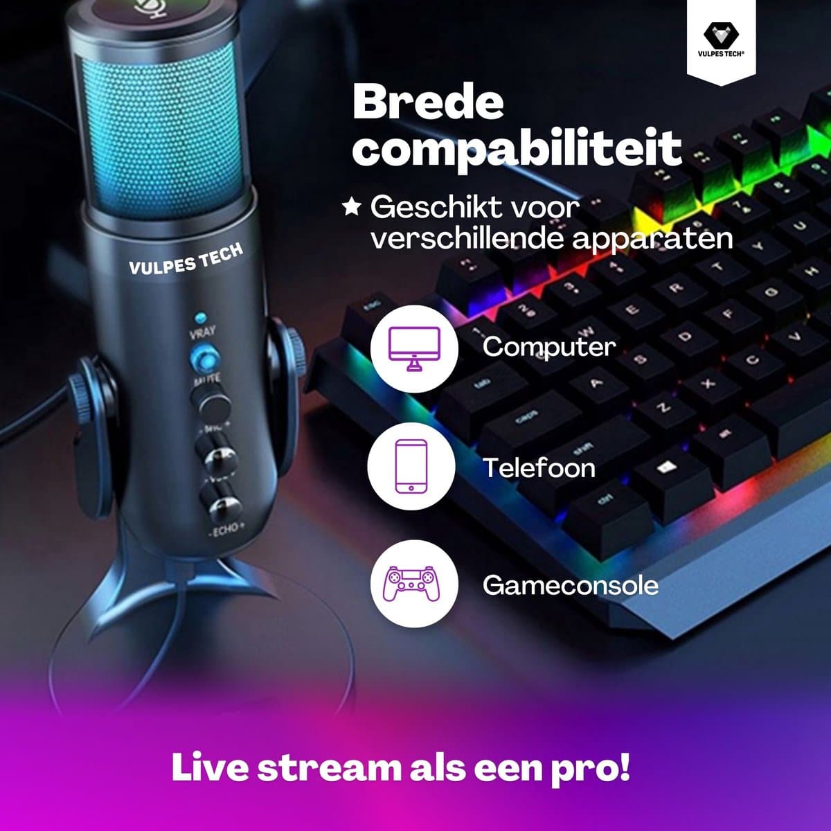 Bontempi Karaoke Microfoon met Opneemfunctie