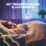 Nachtlampje_Uil8