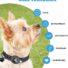 Hondenhalsband geschikt voor Apple AirTag - XL