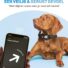 Hondenhalsband geschikt voor Apple AirTag - S