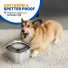 Drinkbak Hond - RVS 10