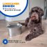 Drinkbak Hond - RVS 3