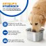 Drinkbak Hond - RVS 6