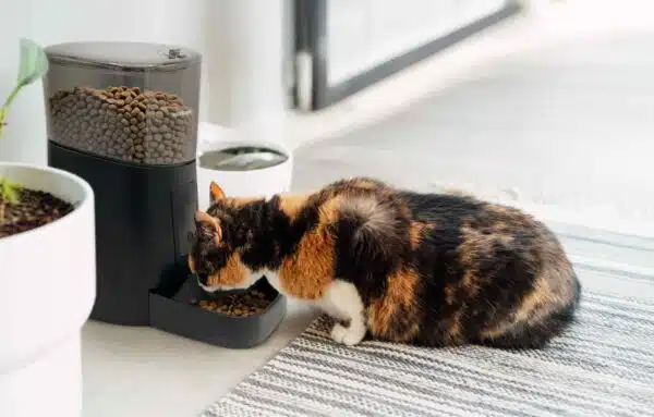 ALLES VOOR JE HUISDIER