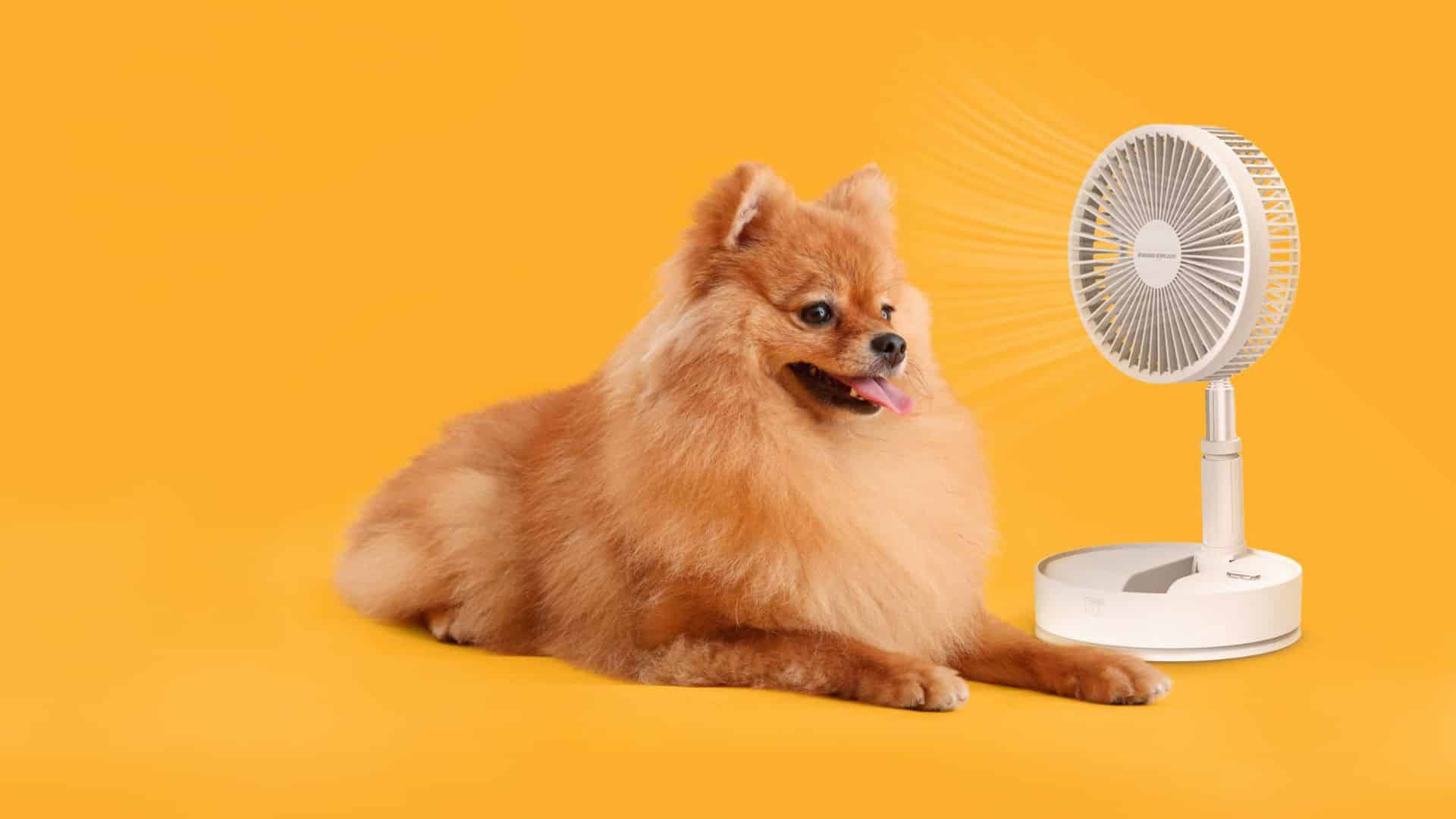 Nieuwsbrief banner - Nieuw - 114