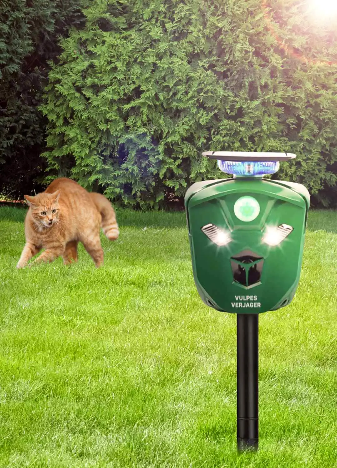 Website onderaan - 2