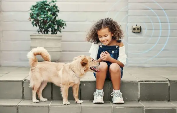 ANTI-BLAF APPARATUUR